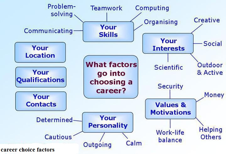 Essay chosen career path