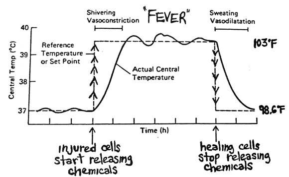 Child Fever Temperature Chart Ear