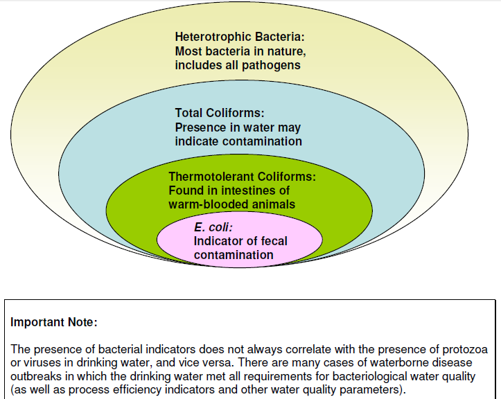H2o Ok Plus Coliform Bacteria Color Chart