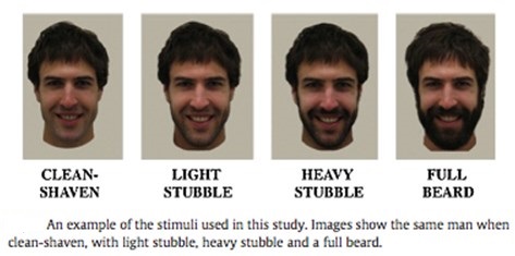 Beard Stages Chart