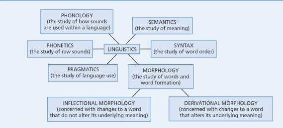 Science Of Language Dr Rajiv Desai