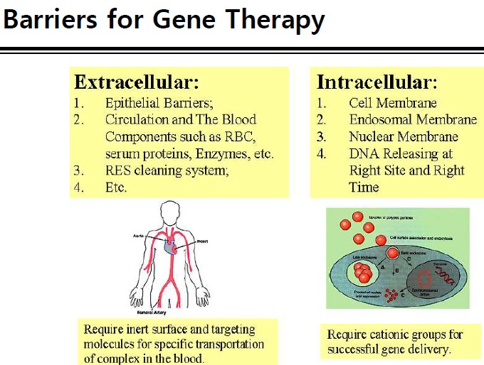 Gene therapy essay