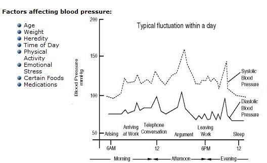 Blood Pressure Fluctuations During Day Chart