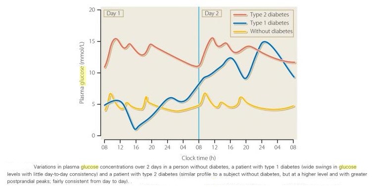 Glucose Variability In Diabetes Pregnant Diet Plans