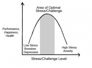 THE STRESS – Dr Rajiv Desai