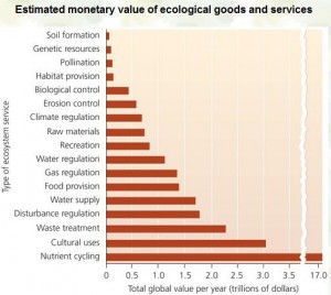 Economic Development Vis-à-vis Environment: – Dr Rajiv Desai