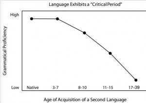 SCIENCE OF LANGUAGE – Dr Rajiv Desai
