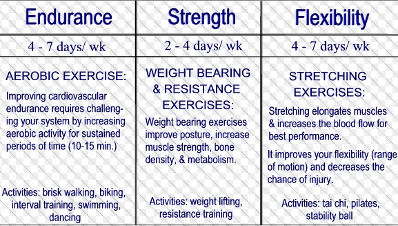 Types Of Exercise Examples | Store