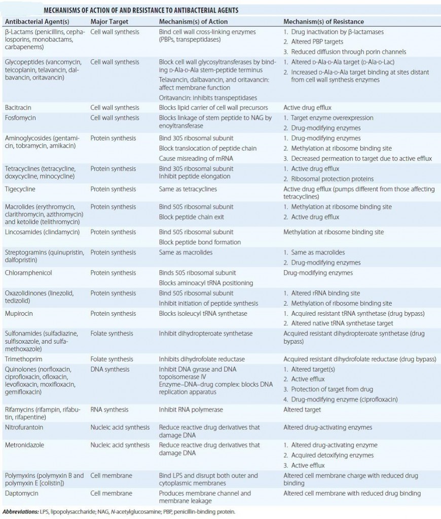 ANTIMICROBIAL RESISTANCE (AMR) – Dr Rajiv Desai