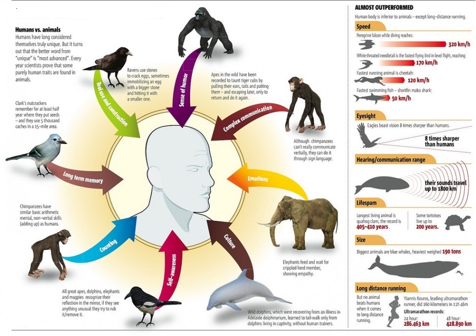 https://drrajivdesaimd.com/wp-content/uploads/2020/08/Similarities-Between-Humans-and-Animals.jpg